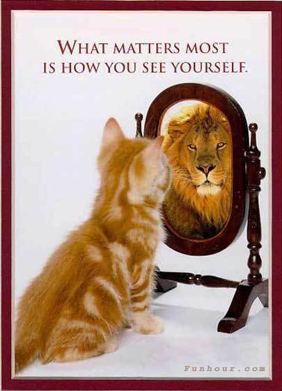 Cat-mirror-lion-how-you-see-yourself-by-